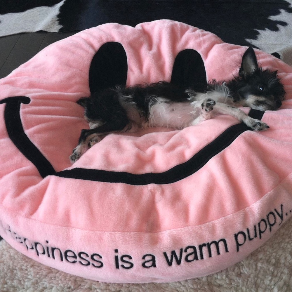 Dog Bed Cover Smiley Pink
